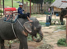 Правительство Тайланда в целях возрождения туризима намерено взять кредит в объеме 400 млн долларов США